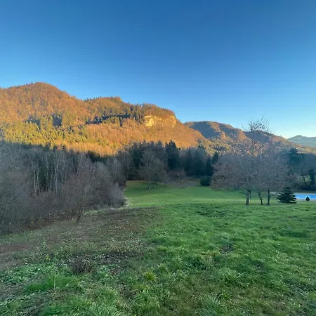 Maisonnette Dans La Vallee Verte